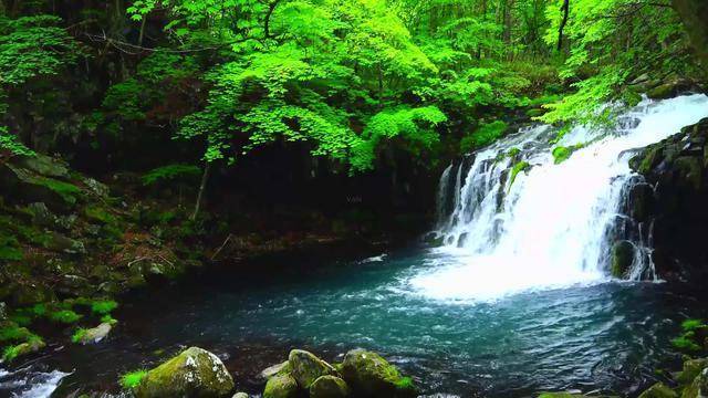 石阡：特色养殖前景好 乡村振兴产业旺
